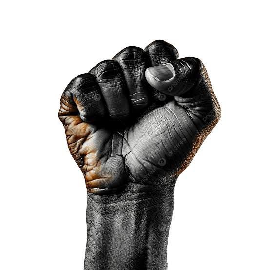 ❝I wish I had a sister like Miriam Makeba, a brother like Malcolm X, a friend like Che Guevara, a mentor like Steve Biko, a comrade like Patrice Lumumba, courage like Thomas Sankara, wisdom like Marcus Garvey and the resilience of Winnie Madikizela-Mandela.❞  ~ Mzilikazi wa