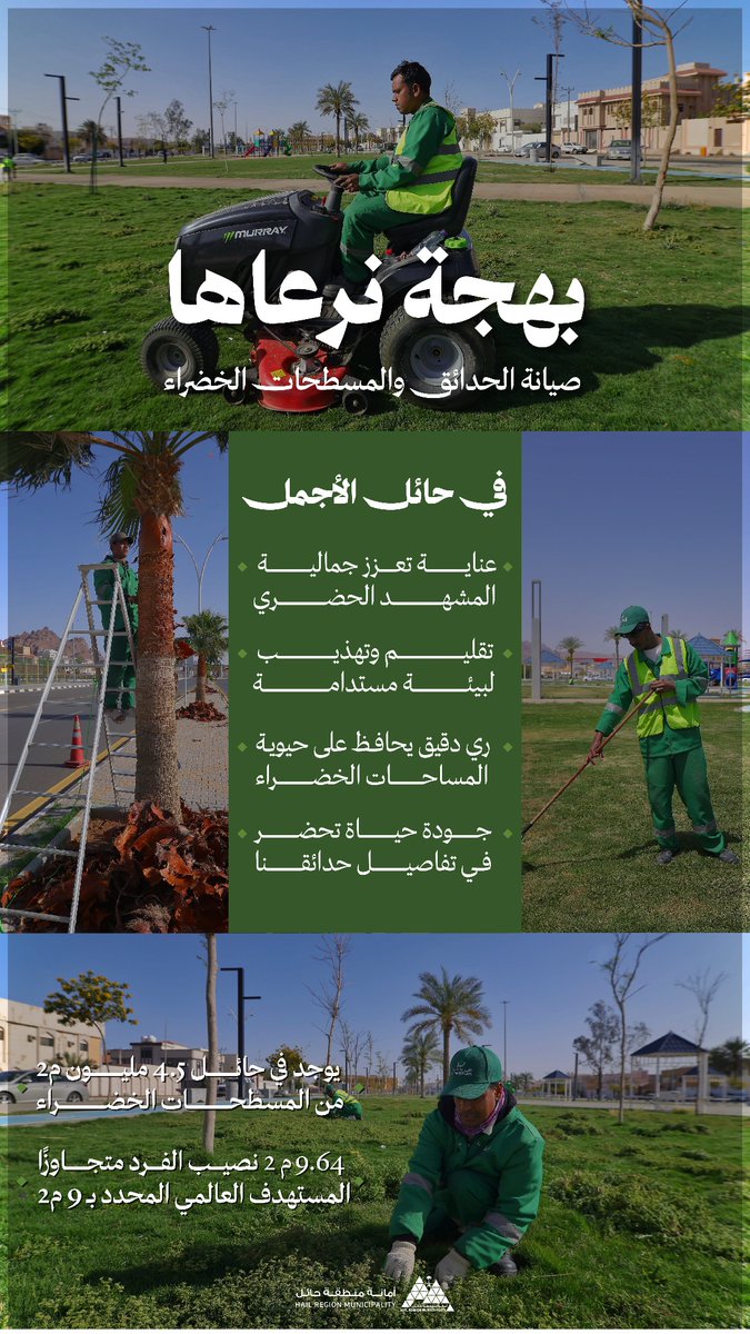 أمانة منطقة حائل tweet media