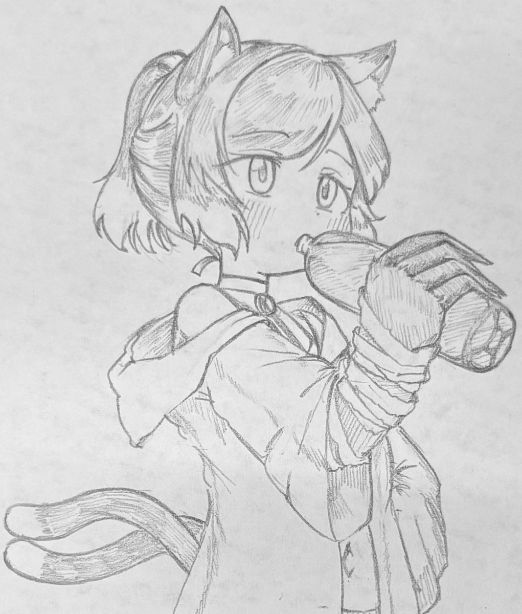 ぶんけゐ赤テン🧊 tweet media