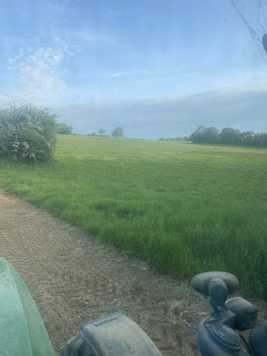 Bonjour, voici l’avenir de l’agriculture des friches !! Ça fait des années que c’est en friche et personne a envie de les reprendre.. ( moi inclus )