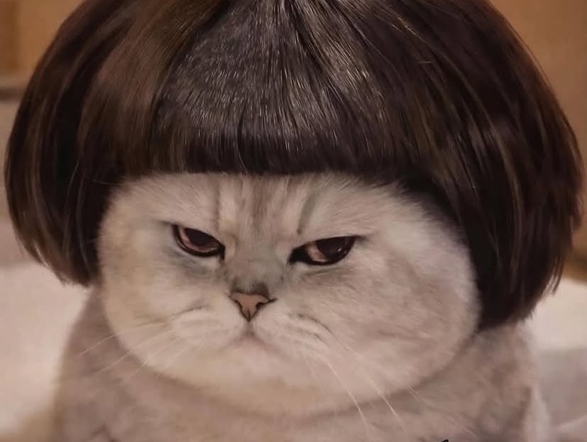 عبدالله الخالدي tweet media