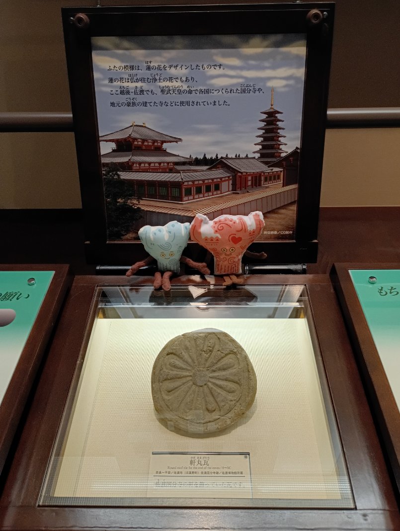 新潟県立歴史博物館 tweet media