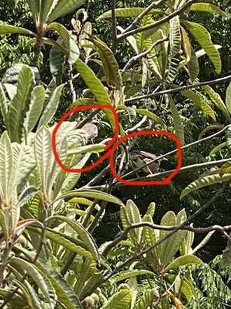 ガラス越しのぼく tweet media