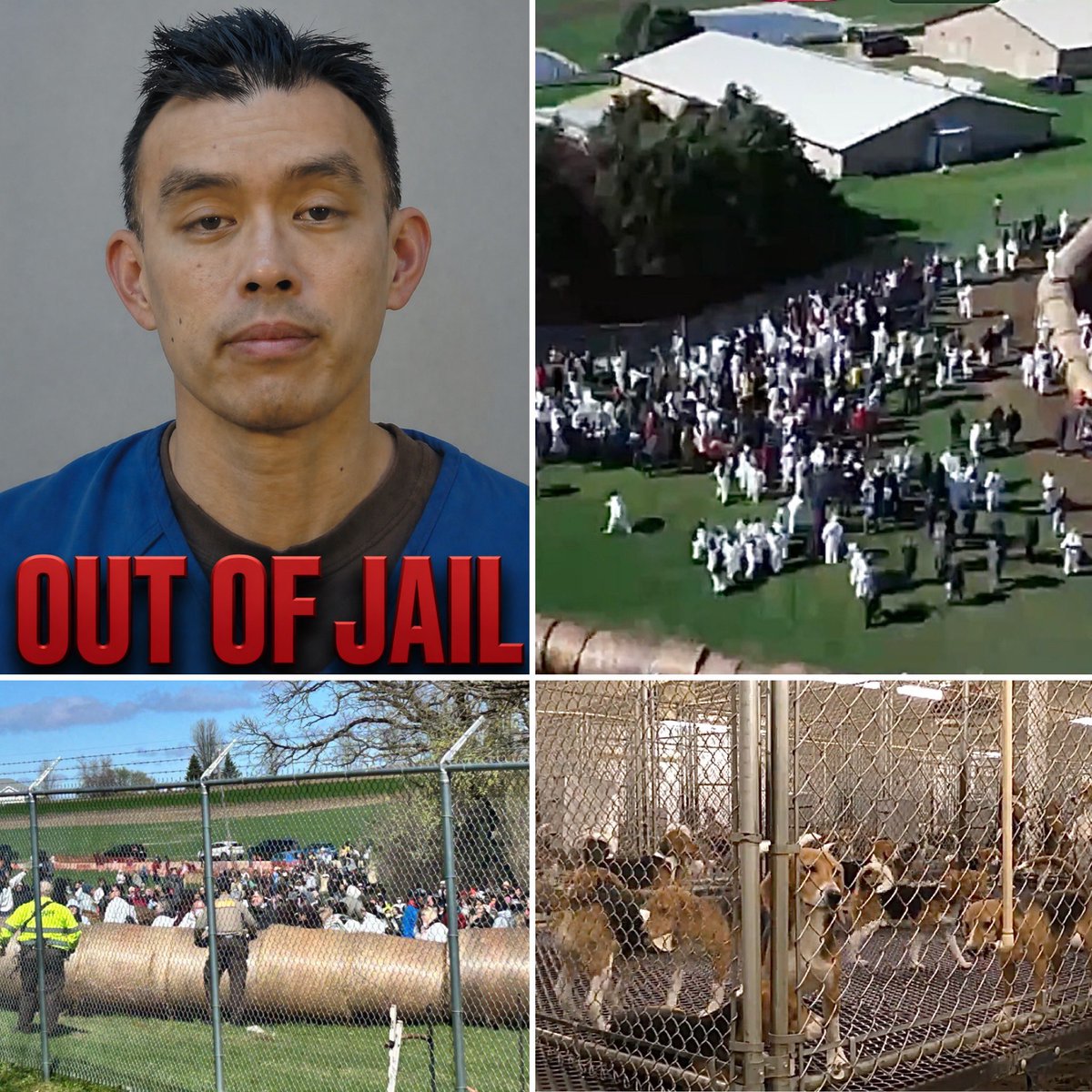 BREAKING NEWS: The New York man who organized both efforts to break into Ridglan Farms in Wisconsin is out of jail. He just posted $20,000 cash bond.

Wayne Hsiung is now banned from Dane County and the Village of Blue Mounds where the breeding and research facility is located.