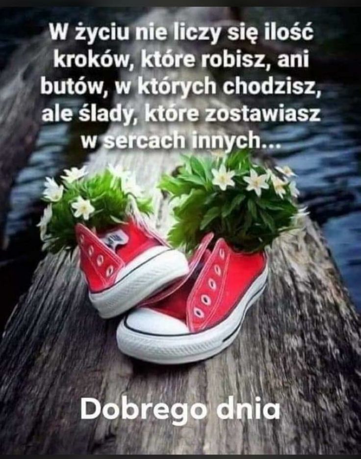 Elżbieta Krystyna Dudkiewicz. tweet media