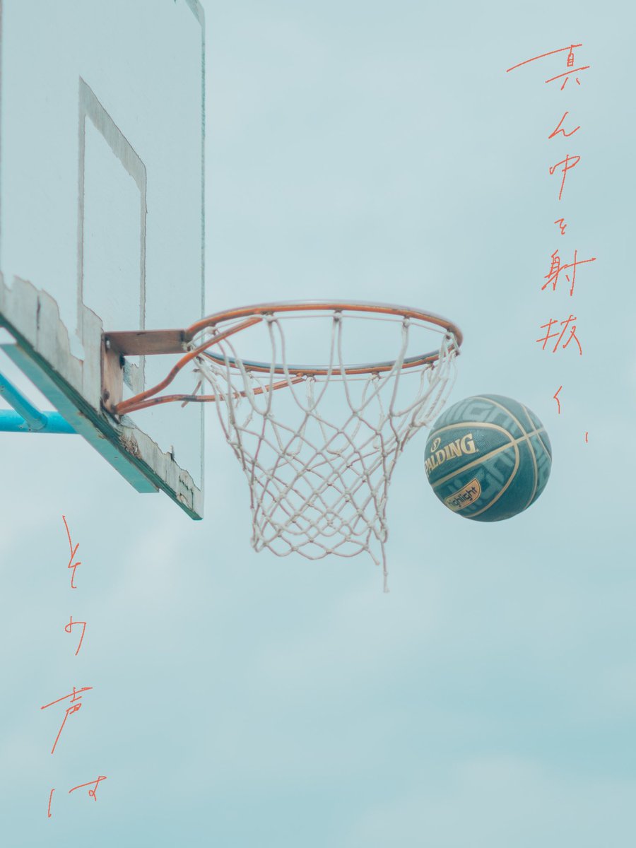 Swimmy｜静岡を泳ぐ。 tweet media