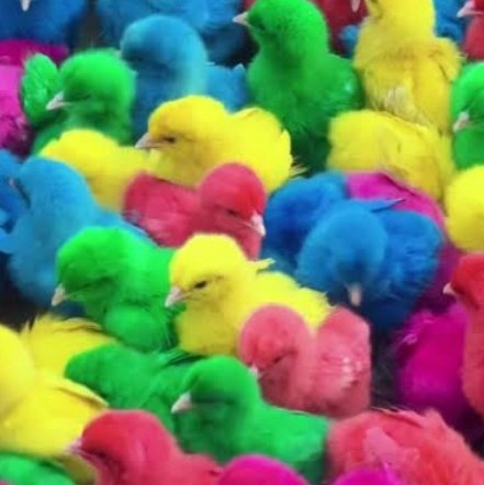 𝗣𝗛𝗘𝗧 メ tweet media