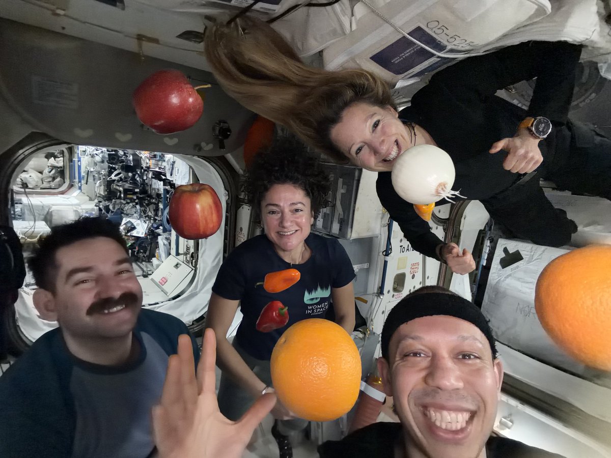 RevesdEspace's tweet image. 🛰️🍎 Le cargo #Cygnus #NG24 est arrivé à l' #ISS le 13 avril avec 5 tonnes de fret. Il y avait aussi des fruits frais très appréciés des astronautes !
📷 Jessica Meier