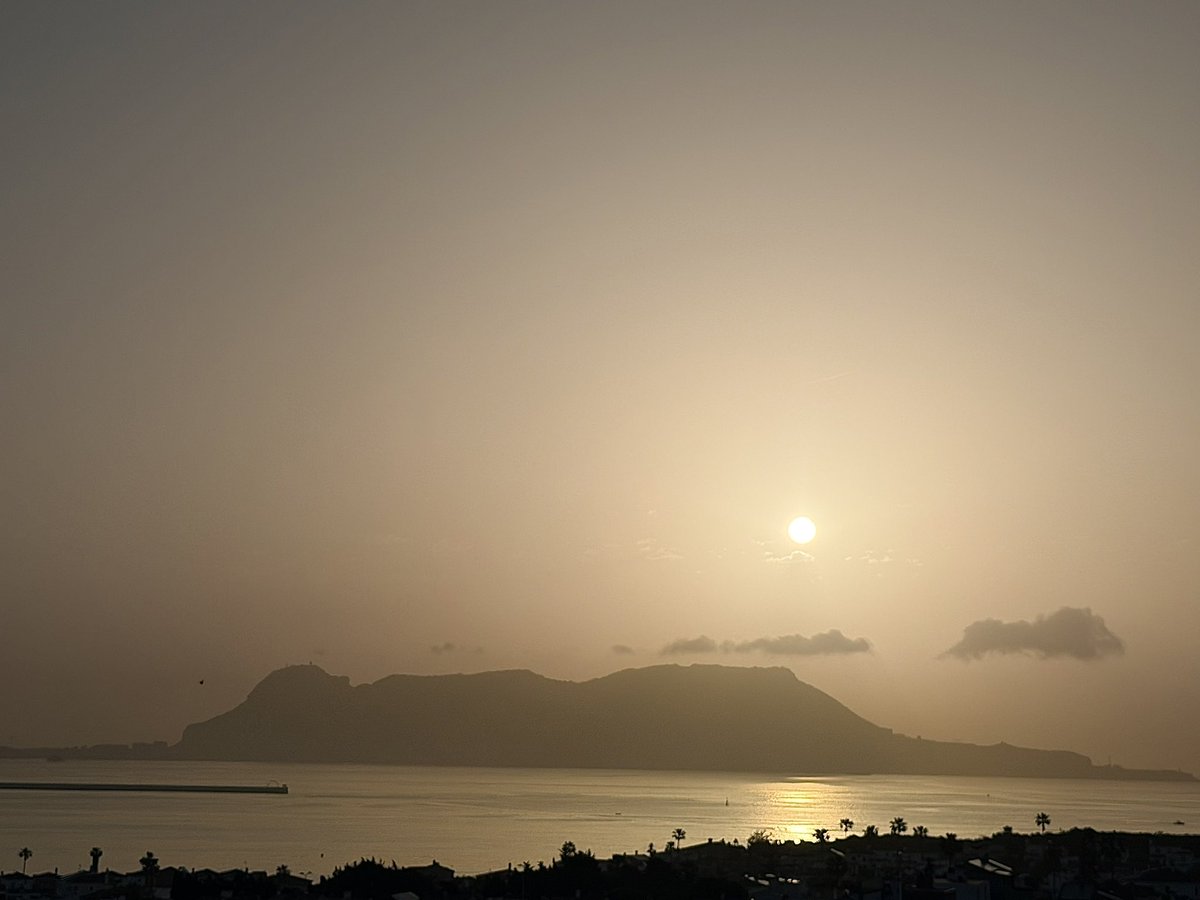 Carpe Diem...🍀 tweet media