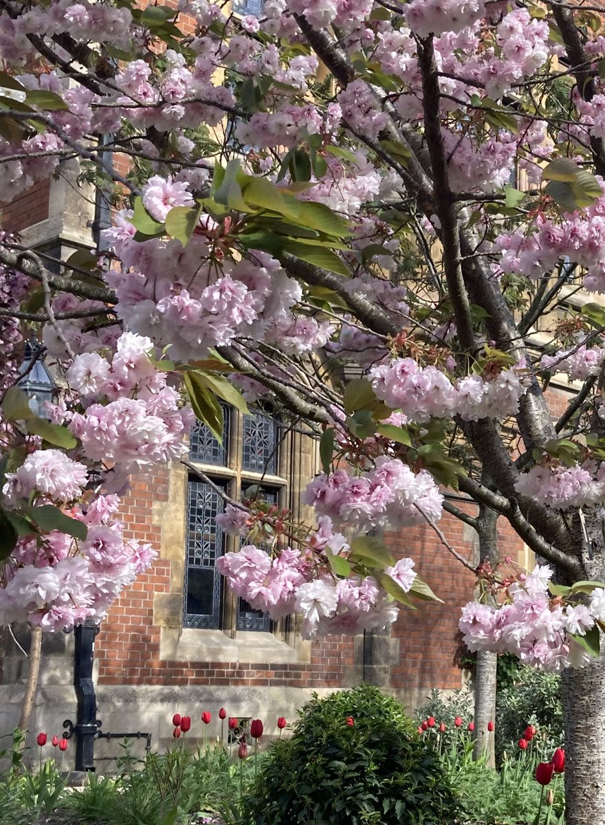 SandyDeBorn's tweet image. Good morning from Cambridge #WindowsOnWednesday @pembroke1347