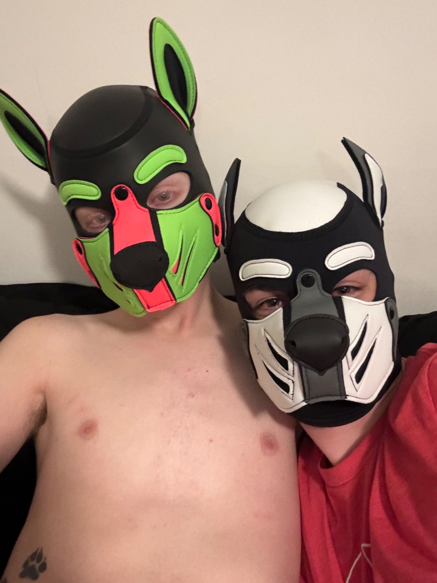 Wolfbrother2002's tweet photo. Such a cutie @XPupAtlasX is. Came out to visit me. And hand deliver my new pup hood https://t.co/6IKhcp9fle