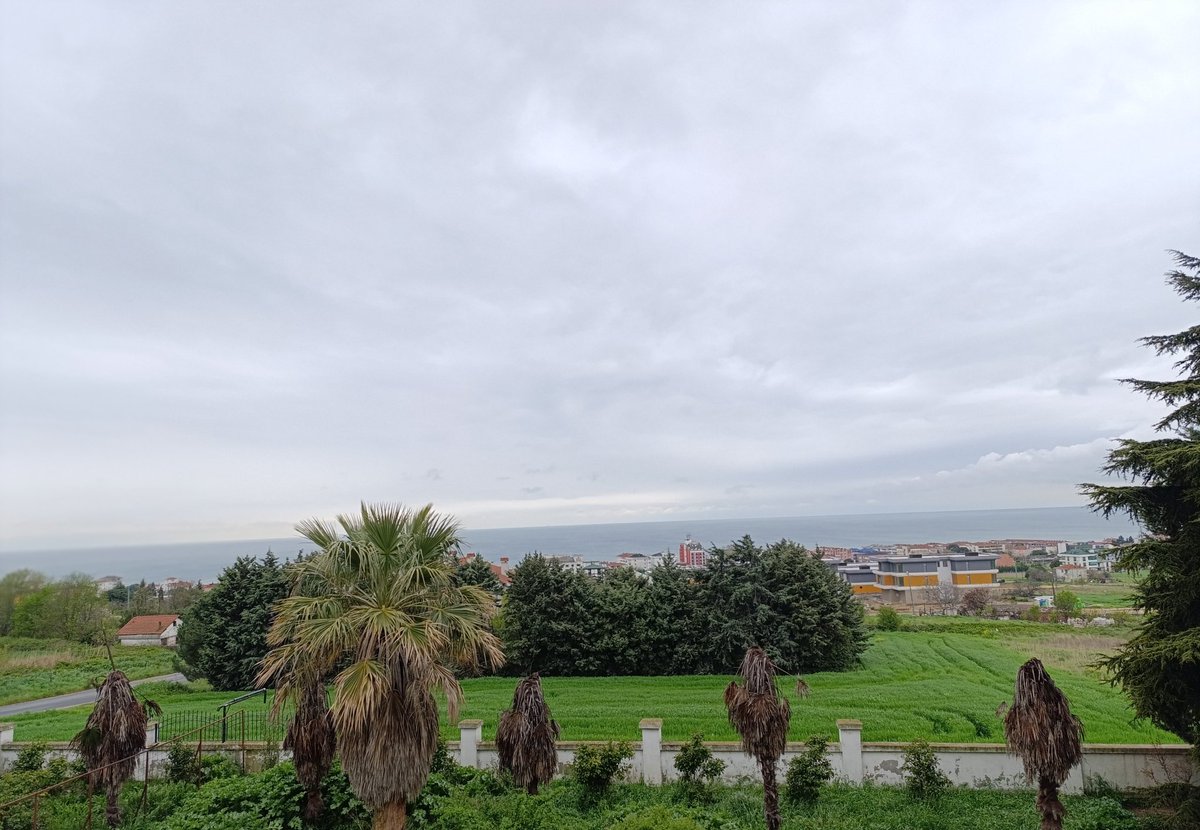 neden??? tweet media