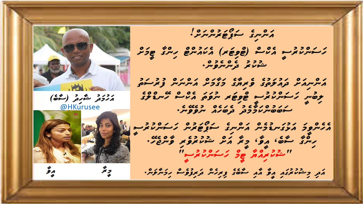 Team MDP tweet media