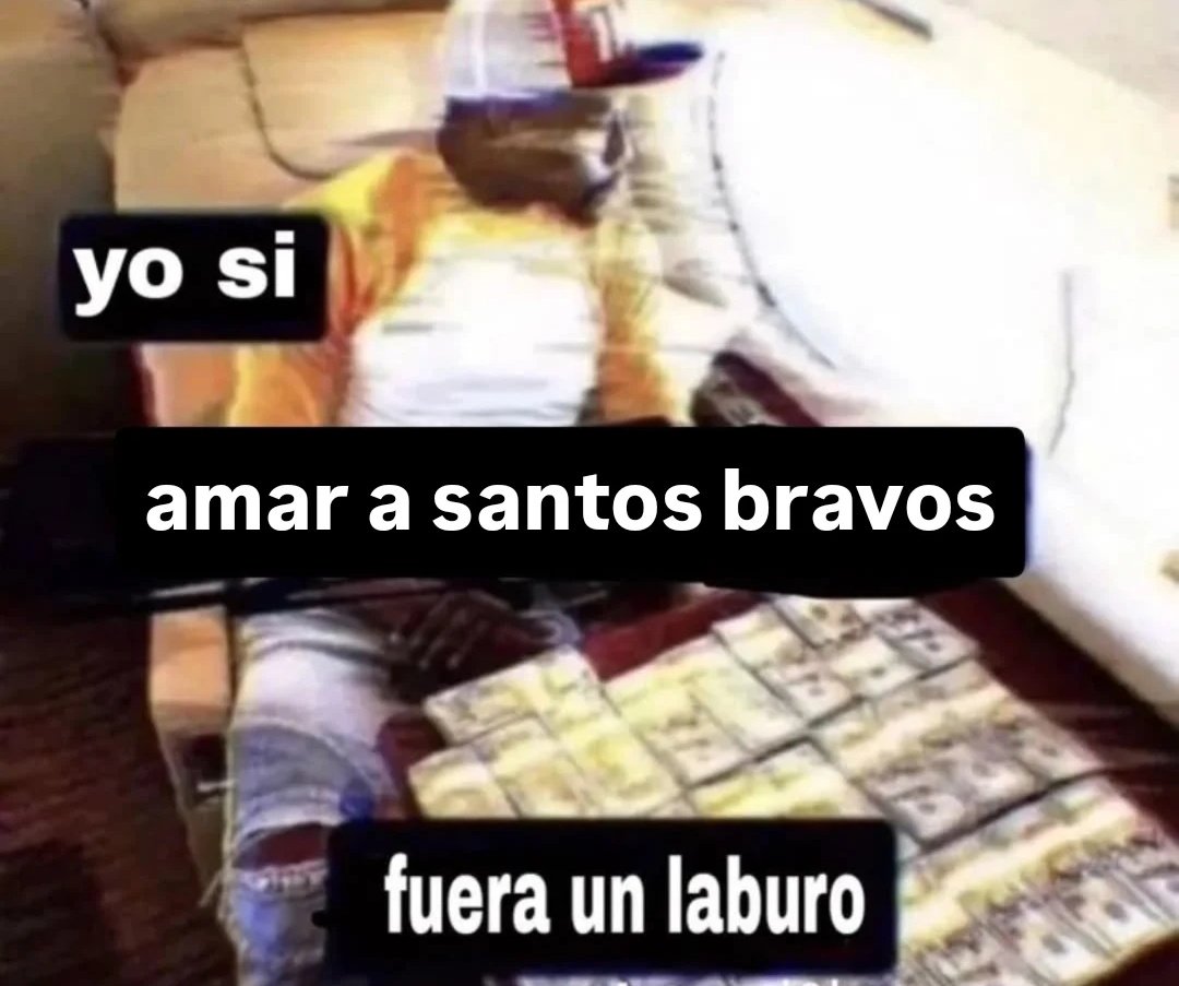 silvi ლ DUAL tweet media