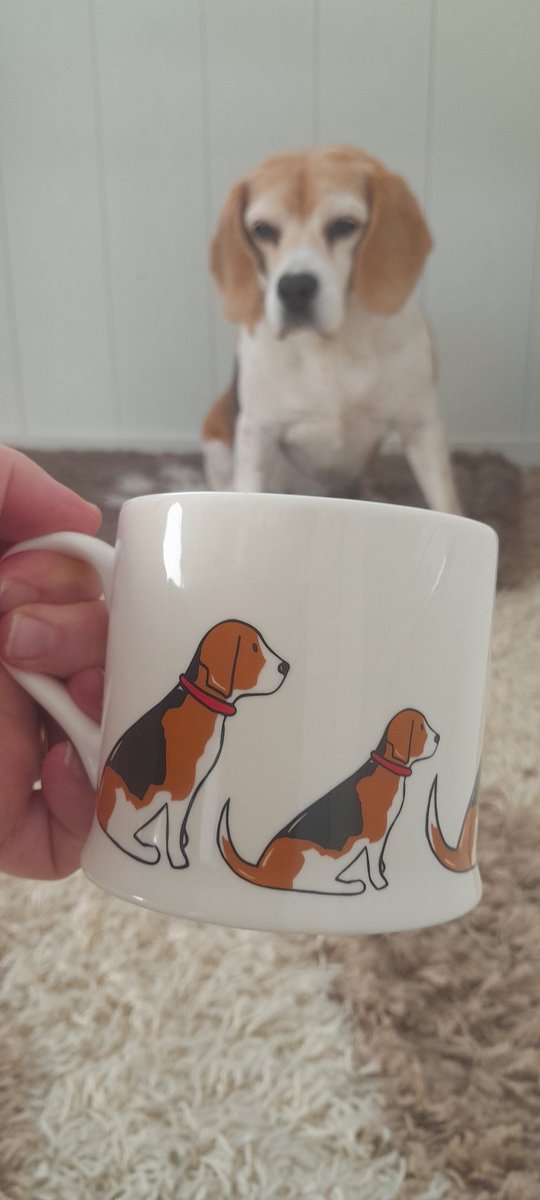 LKauris's tweet photo. Happy #nationalbeagleday 

@beaglefacts https://t.co/CYqDlEHAzw