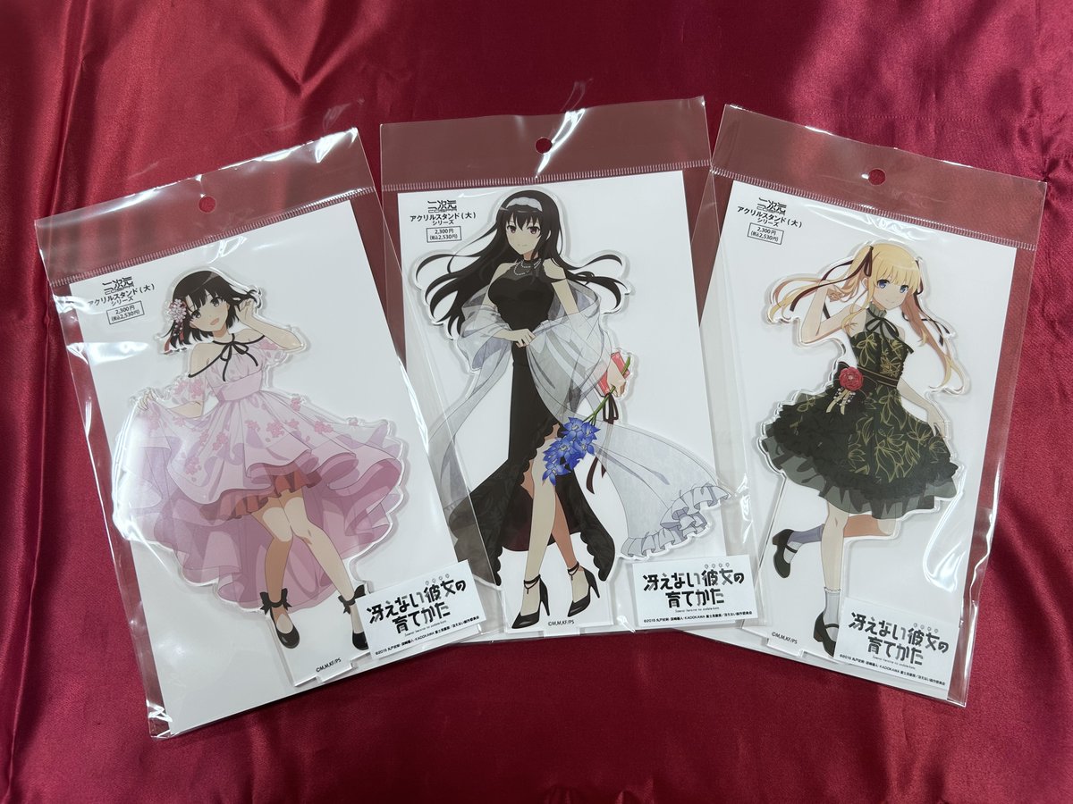 ✨新商品情報✨ 『冴えない彼女の育てかた』より 「描き下ろし