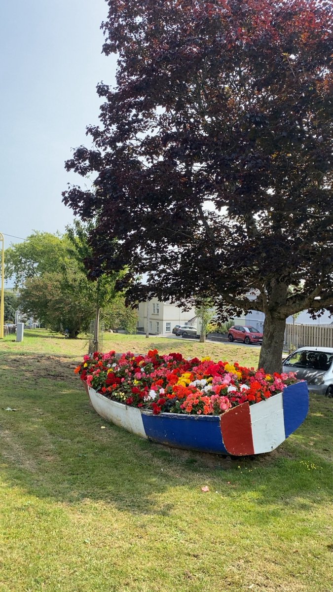 ڣـﮪد ا̍ڷگڷٽمۭـﮯ🇸🇦 tweet media