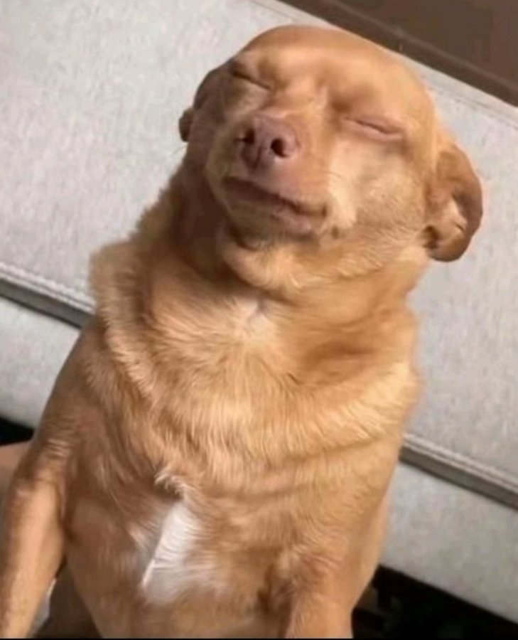 GEssence tweet media