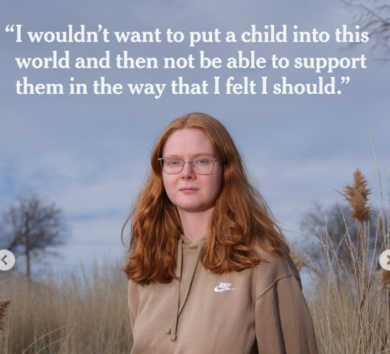 ✦✦✦ 𝙿𝚊𝚖𝚙𝚑𝚕𝚎𝚝𝚜 ✦✦✦ tweet media