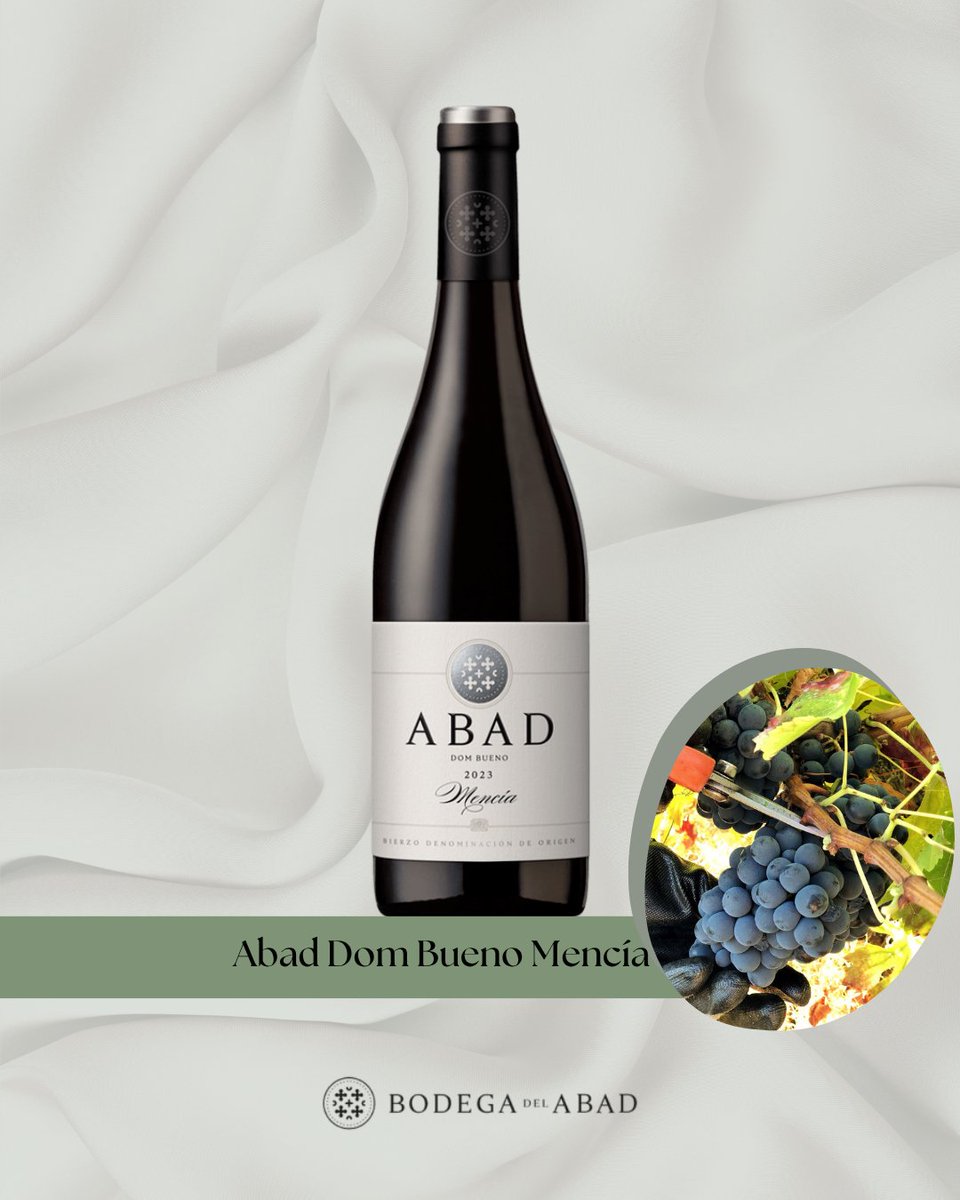 Bodega del Abad tweet media