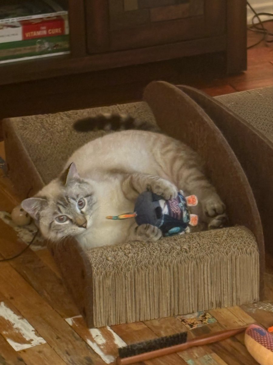 weird fish 🐟 tweet media