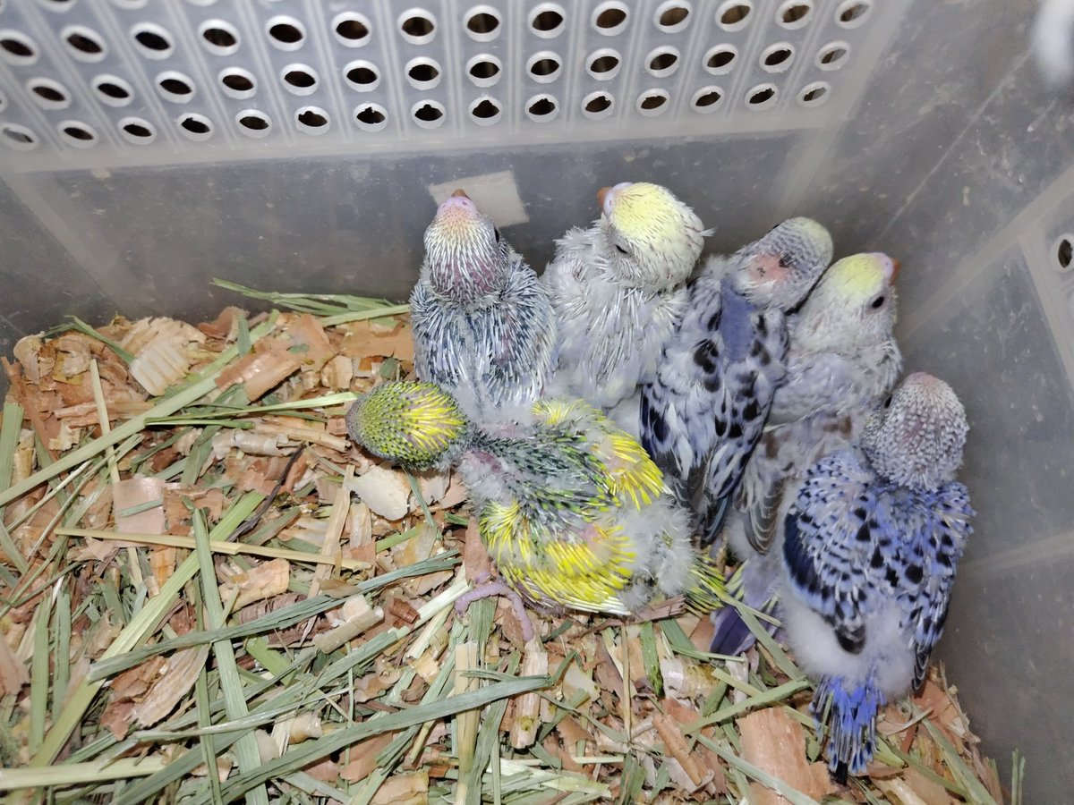 Ｊ・アシスト tweet media