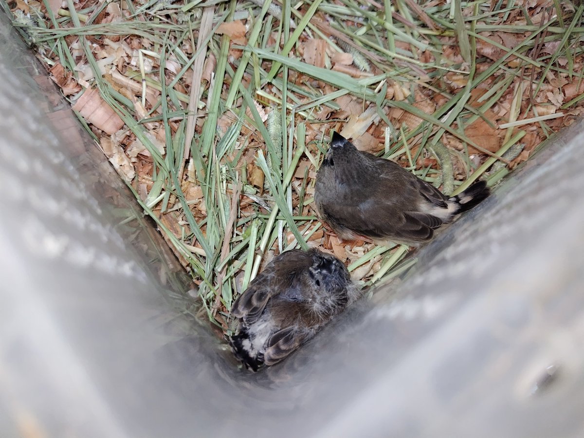 Ｊ・アシスト tweet media