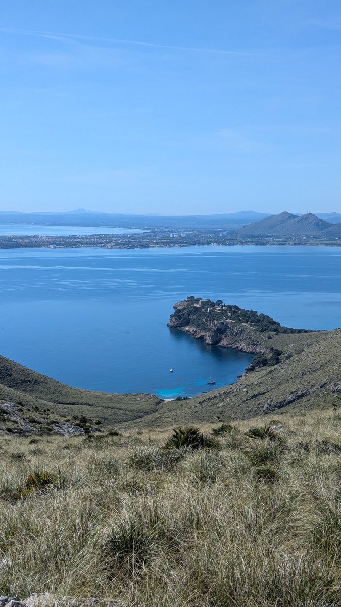 Nueva calita descubierta