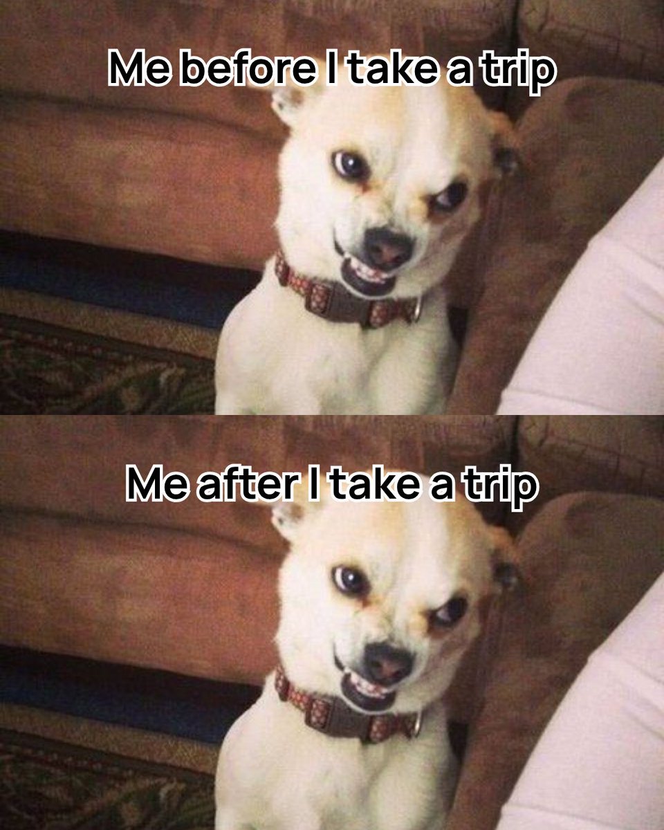 thehosteller's tweet image. #travel #memes #vacation