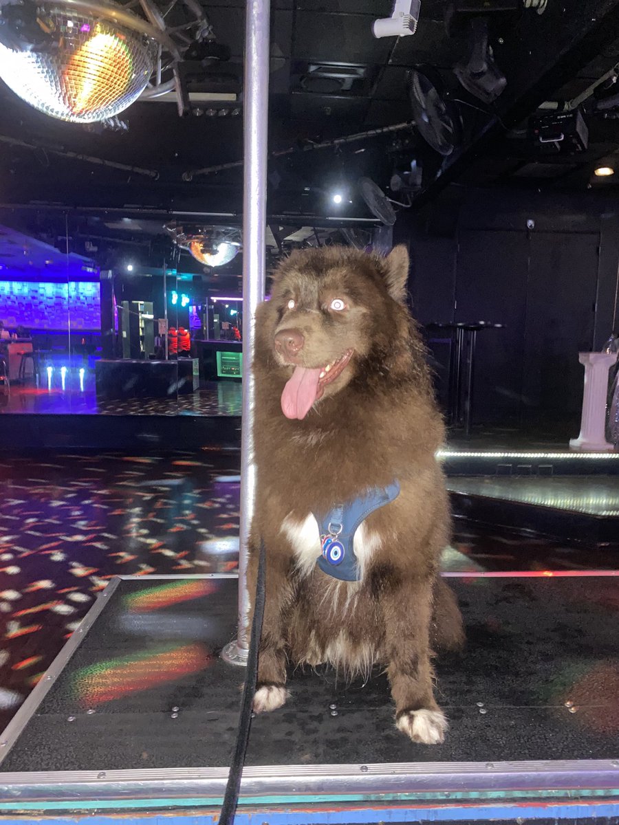 SithLordPepa's tweet photo. Lip Sync Assassin Theo Raeken
#chocolatehusky #theoraeken #teenwolf #dragrace #lipsyncassassin https://t.co/E2oETJMoOg