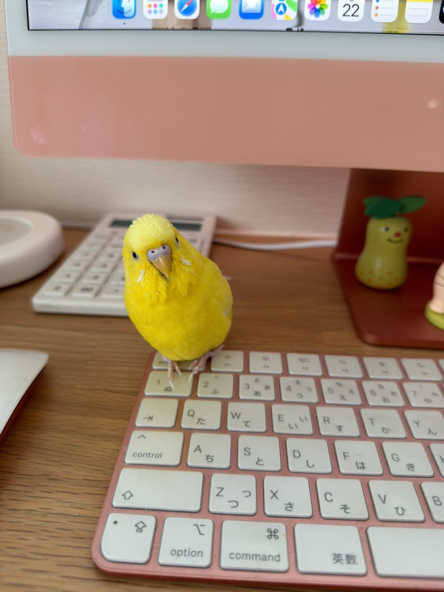 「escapeする？」