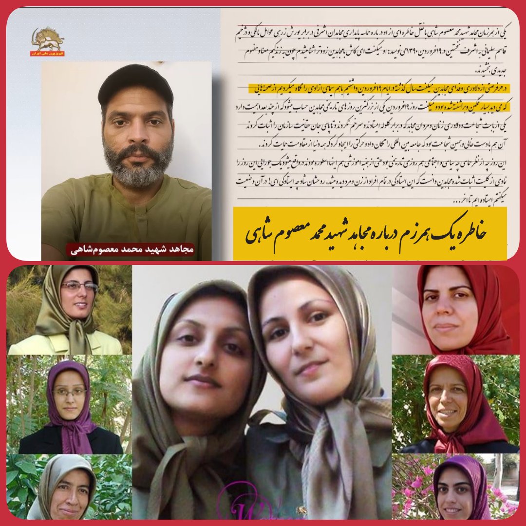 Bita Frozesh tweet media