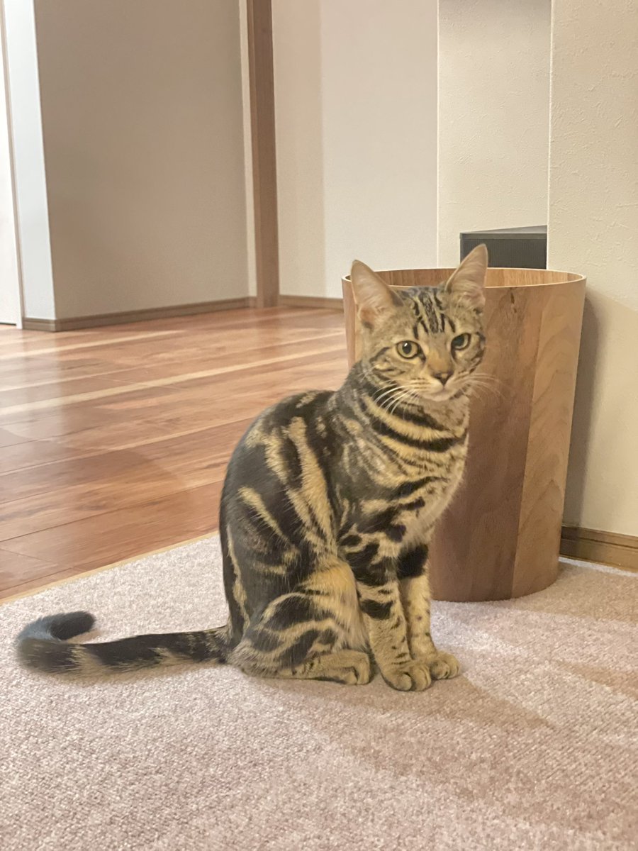 よしまる R8中小企業診断士受験生 tweet media