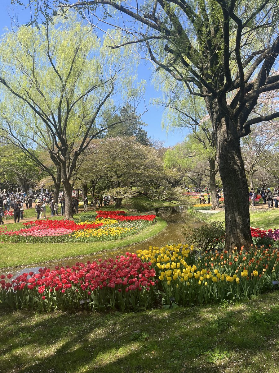 Ririka_Kato's tweet photo. 春🌷🌷🌷 https://t.co/nccxNgzT9a
