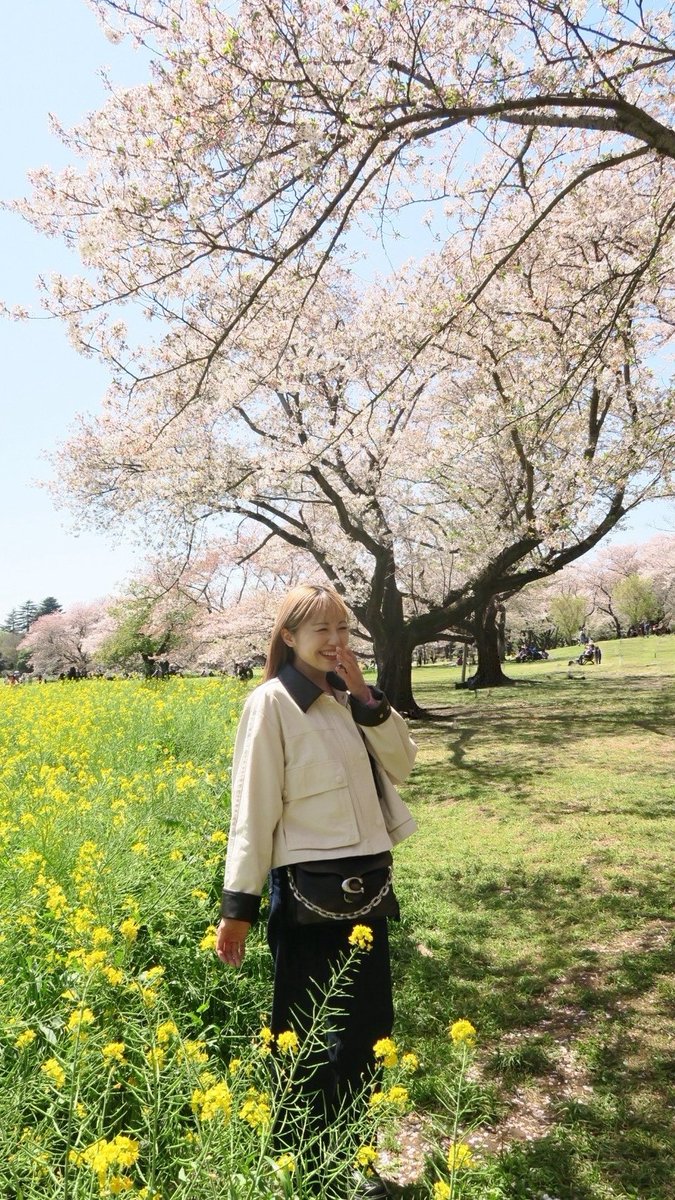 Ririka_Kato's tweet photo. 春🌷🌷🌷 https://t.co/nccxNgzT9a