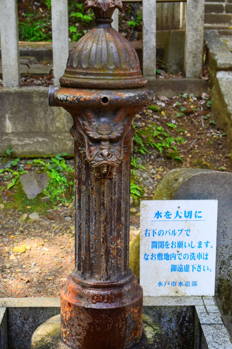 水戸市【公式】 tweet media