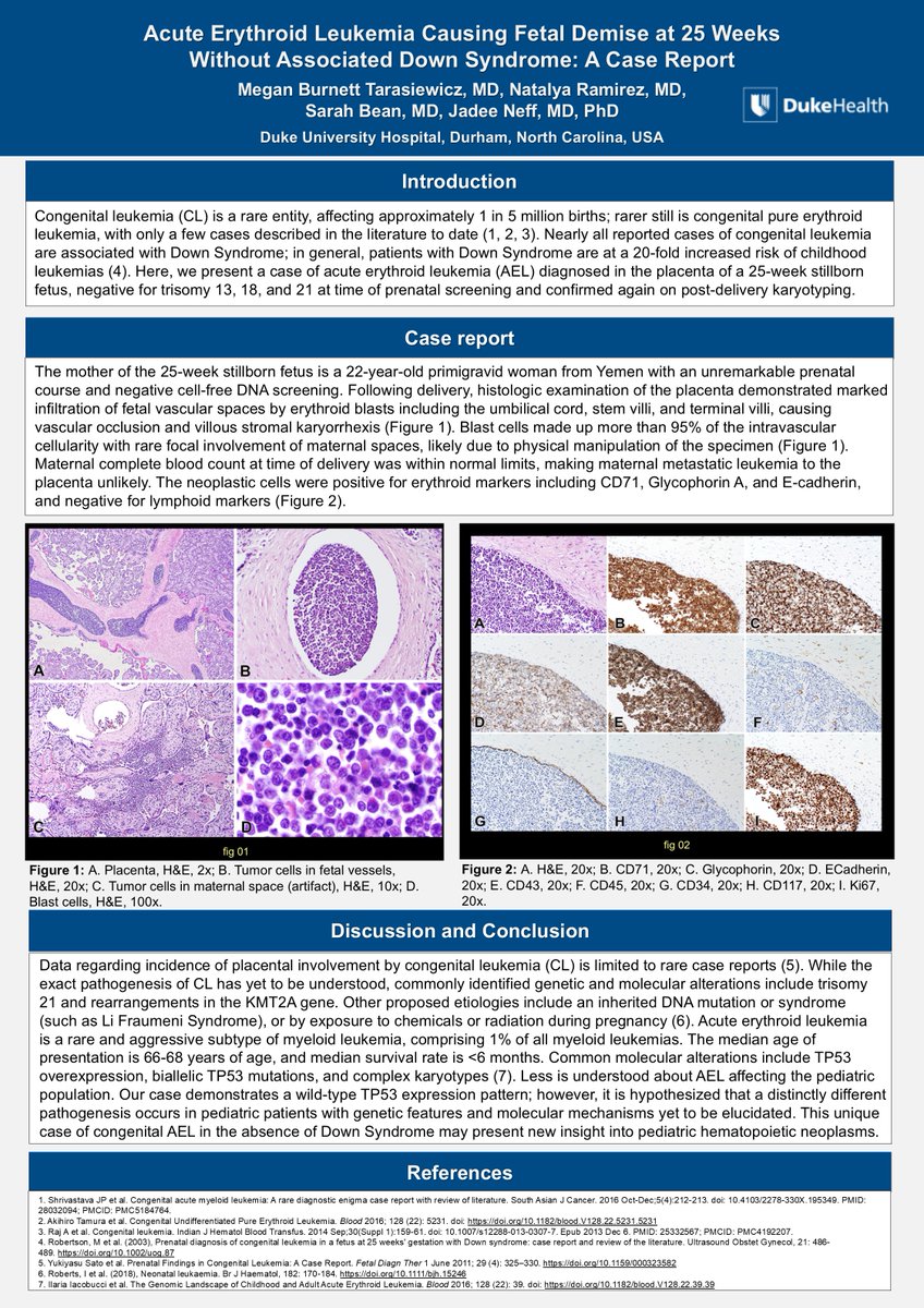 The British Assoc of Gynaecological Pathology tweet media