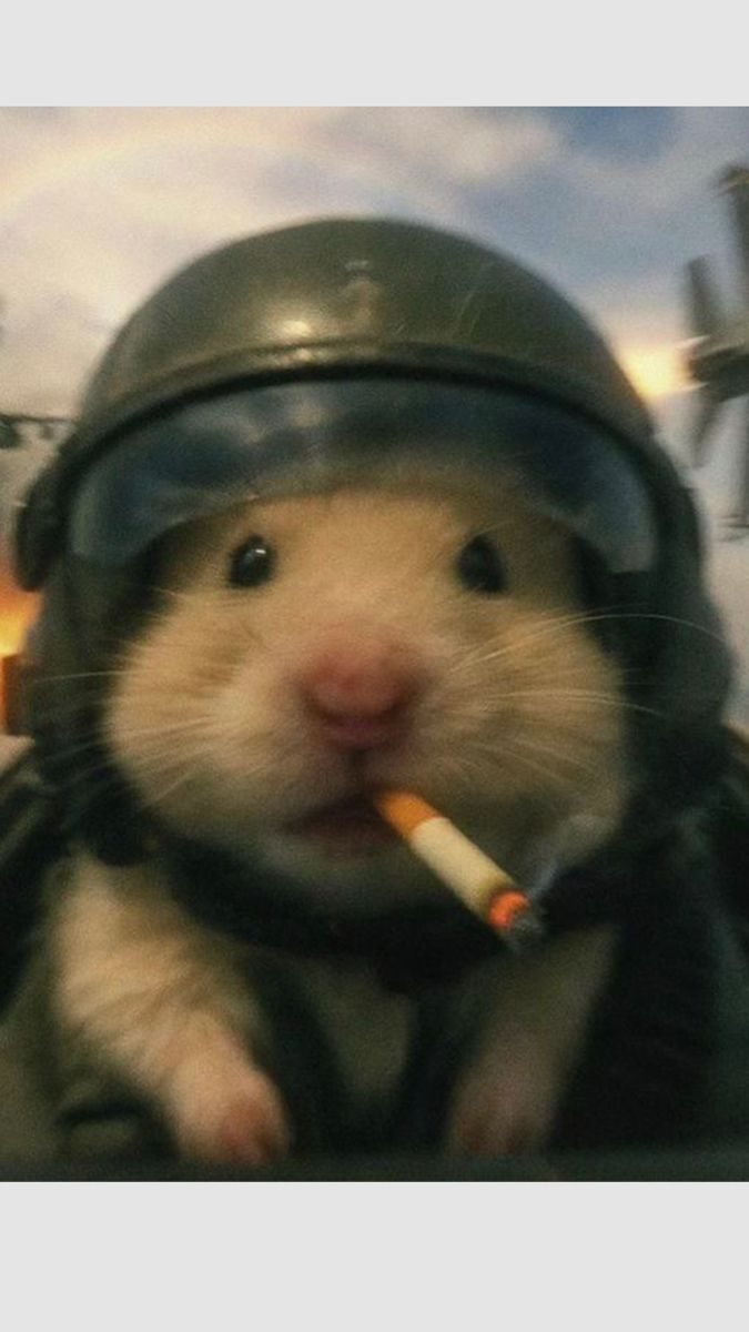 kalau ga bisa diajak maju bareng, gpp dah gue aja yg maju #sikap