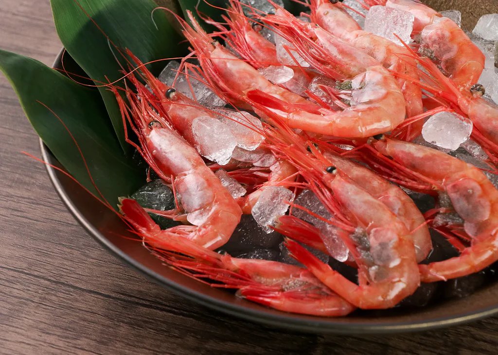 keieln's tweet photo. 能登のやさしさどこまでも
甘エビ輪島ふぐ手づかみもづくとか食べてみたい🐡
https://t.co/NhRbxfltzs https://t.co/Dx9SbqE3ZN