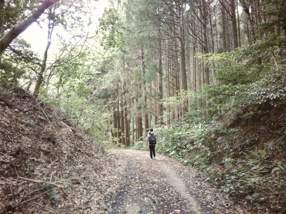 Eri Sasaki : 佐々木恵梨 tweet media
