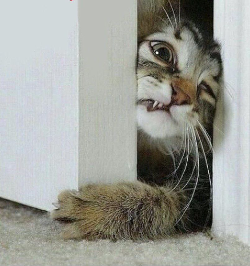 ТЕСHNOLOGY СЕNTЕR PC® tweet media