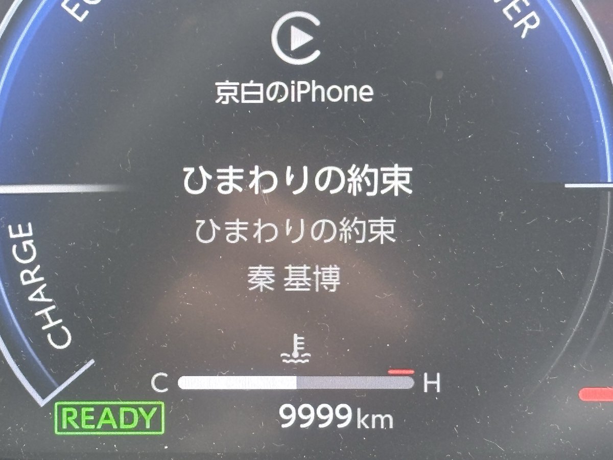 9999ゲットだぜ(๑•̀ㅂ•́)و✧