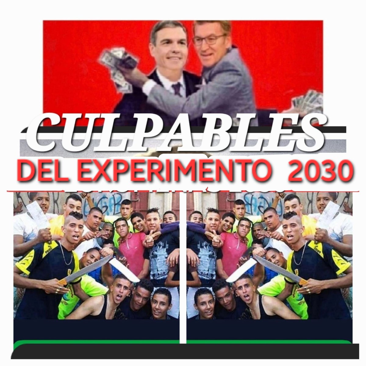 ReVOXlución Verde tweet media