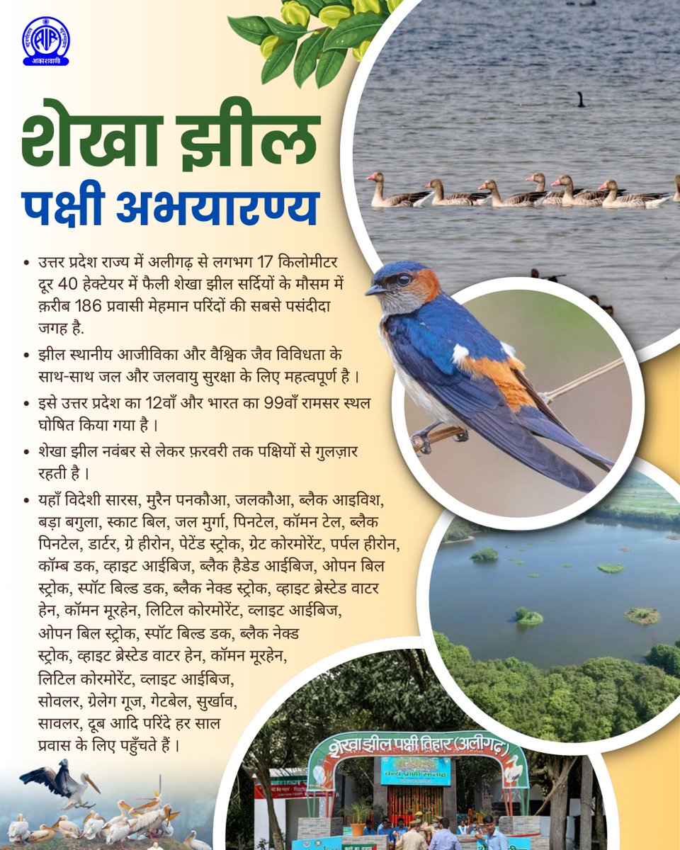 AkashvaniAIR's tweet image. पृथ्वी दिवस के अवसर पर भारत सरकार ने पर्यावरण संरक्षण की दिशा में एक ऐतिहासिक एवं सराहनीय कदम उठाते हुए उत्तर प्रदेश के अलीगढ़ जनपद स्थित शेखा झील पक्षी अभयारण्य को भारत का 99वाँ रामसर आर्द्रभूमि स्थल घोषित किया है।

#EarthDay #RamsarSite #WetlandsConservation #ShekhaLake