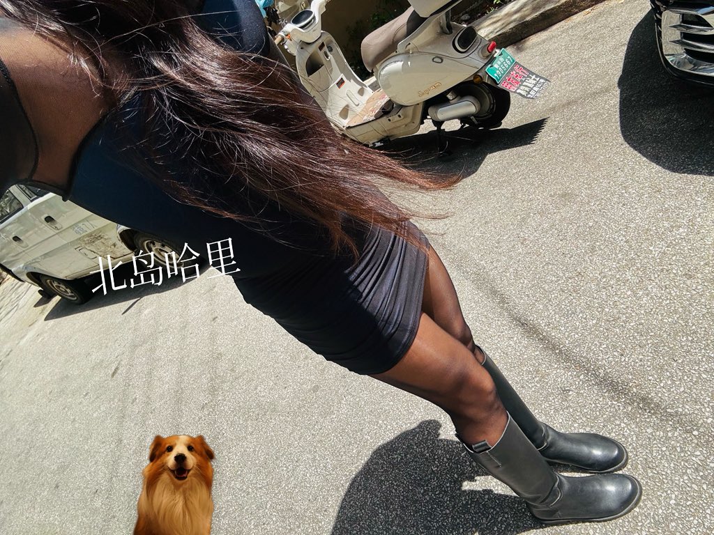 北岛哈里 tweet media