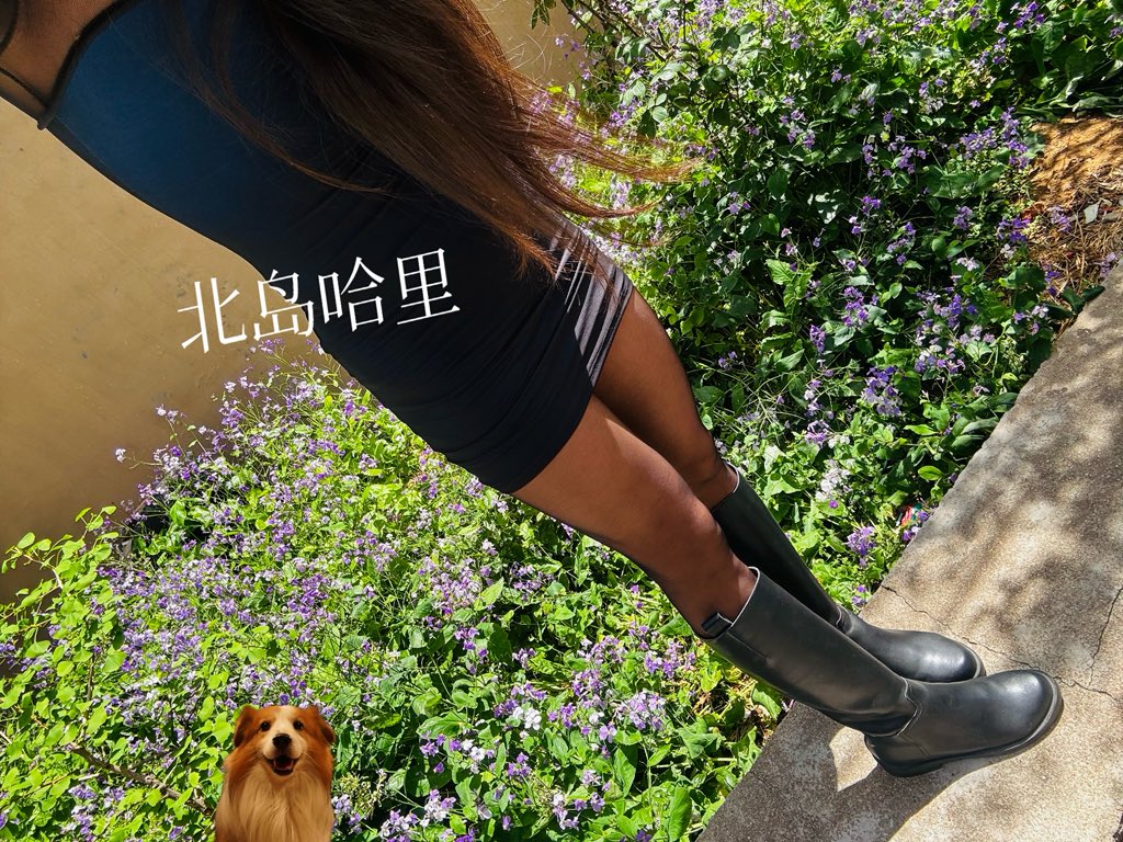 北岛哈里 tweet media