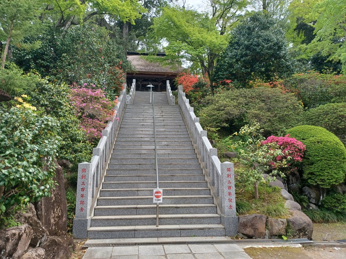 JAZZ雅鳴きたや tweet media