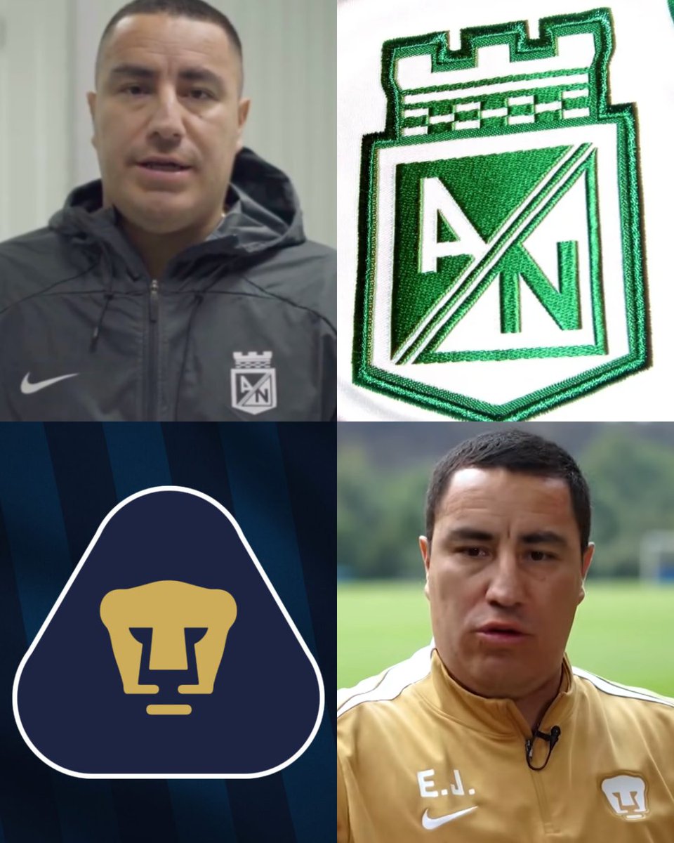 Invictos tweet media