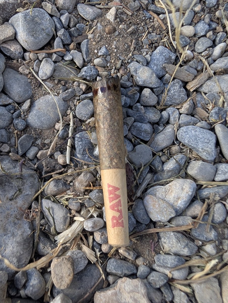KingDgrow's tweet image. The wife thinks weed just grows on trees or something and tosses half smoked joints. 🤣😆
#growyourown #cannabis #weed