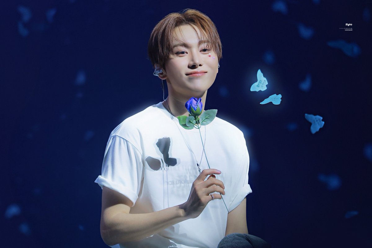 𝑠𝑖𝑔ℎ𝑡 tweet media